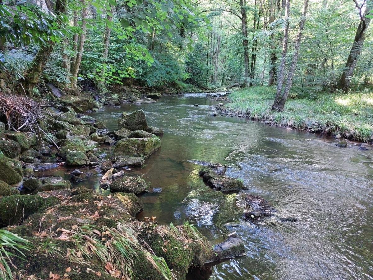 Relax by River Vezere in Sage Arts Apartment Treignac Exterior foto
